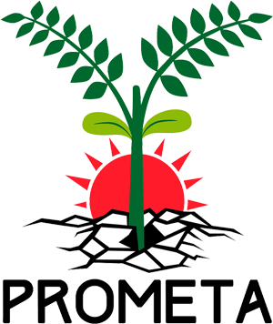 Prometa